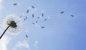 General Purpose Fin Reports 1